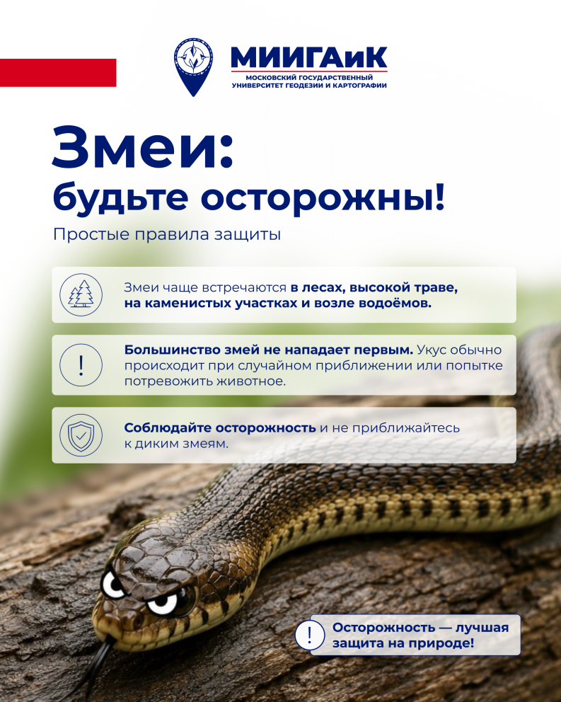 ��������� �������������: ���� � ����� ���������� ���� - ���������������� �����������