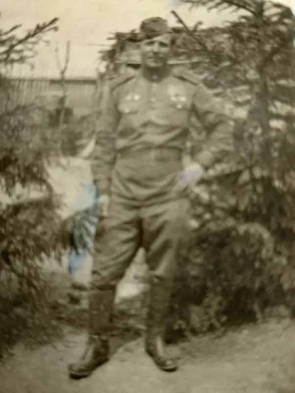 ������� �� ���� ������������ ����������, ���������� ���������� �� ��������� �������� � �������������� ������ ���������������� ������������ ��. �.�. �������