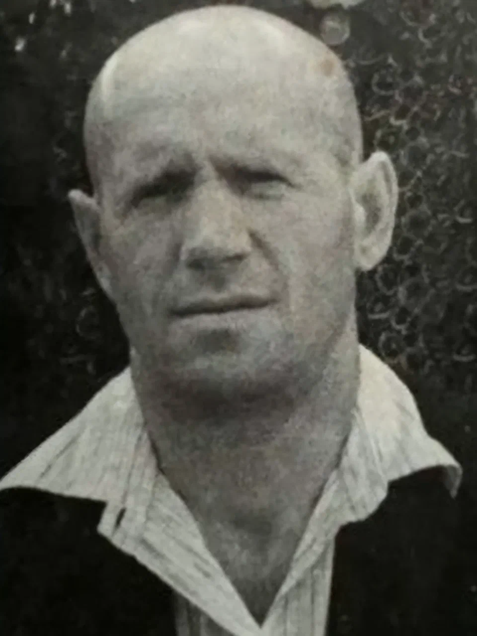 ������ ���� ����������