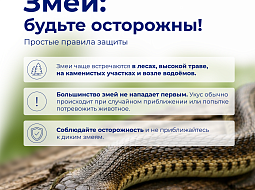 ��������� �������������: ���� � ����� ���������� ����
