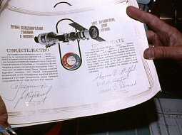 12 �����, ���������� ����