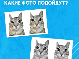 ���� �������������� ��� � ���������������!