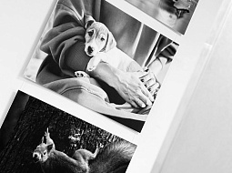 ������������ �������� ��������� ������ ������, ���������� ���������������� ������������ ��. �.�. ������� 