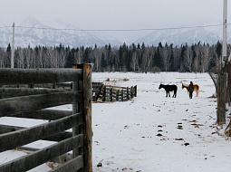 ������� ��������� � ���, ��� ����������� ������-��������������� ���������� �� ����� ��������� � ����������� ������������ ������� � ���������������� ������������ ��. �.�. ������� (������� �������)