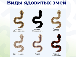 ��������� �������������: ���� � ����� ���������� ����