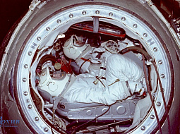 12 �����, ���������� ����