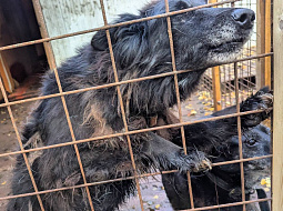 ����� ���� �����, ��� ������ ����, ���� � �������� ��� �������...