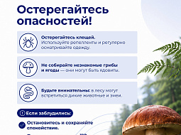��������� �������������: ��� � ����� ���������� ���������