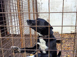 ����� ���� �����, ��� ������ ����, ���� � �������� ��� �������...