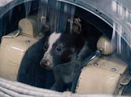 ������� ��������� � ������ ������ �������