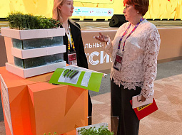 � ������������ ������ �������� 9 �������� ��������� ����� �������� ������� �������, �������������� ��������� ������� � ���������� �������