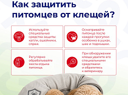 ��������� �������������: ����� � ��������� ��� ��� � ������ �������