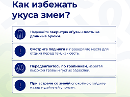 ��������� �������������: ���� � ����� ���������� ����