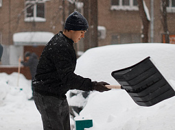 ���� �������� � ������, ���� � �������� ��� ����� �� ������ �� ������!