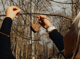 PR-������� �������� ��������� �������� ��� ������