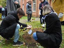 Первокурсники высадили в университете свой сиреневый сад