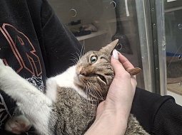 �������������� �������� � ����� ���������! 