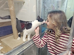 �������������� �������� � ����� ���������! 