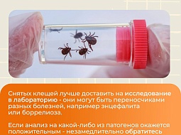 � �� ���� ����������� �� �������? ������ ���������!