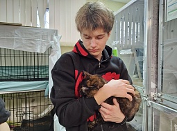 �������������� �������� � ����� ���������! 