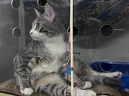 �������������� �������� � ����� ���������! 