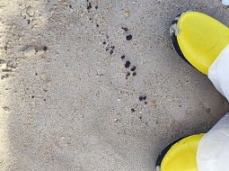 ������� �� ��������� ������������� ����������.