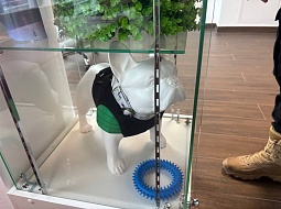 ��������������� ����������� ��. �.�. ������� ������� ��������� ��������-�������������� ������� 