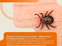 � �� ���� ����������� �� �������? ������ ���������!