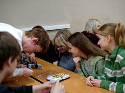 ���� ���� � ��������������� 