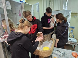 �������������� �������� � ����� ���������! 