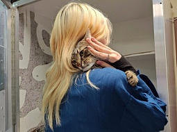 �������������� �������� � ����� ���������! 