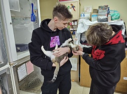 �������������� �������� � ����� ���������! 