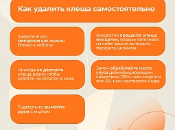 � �� ���� ����������� �� �������? ������ ���������!