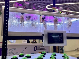 �������� ��������� � ������� ������������� ���������������� ������������������� ������ �� ������ ��������-2024�