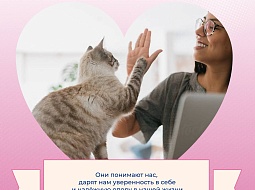 �� � ������ �� ���, ���� ��������� 