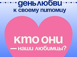 �� � ������ �� ���, ���� ��������� 